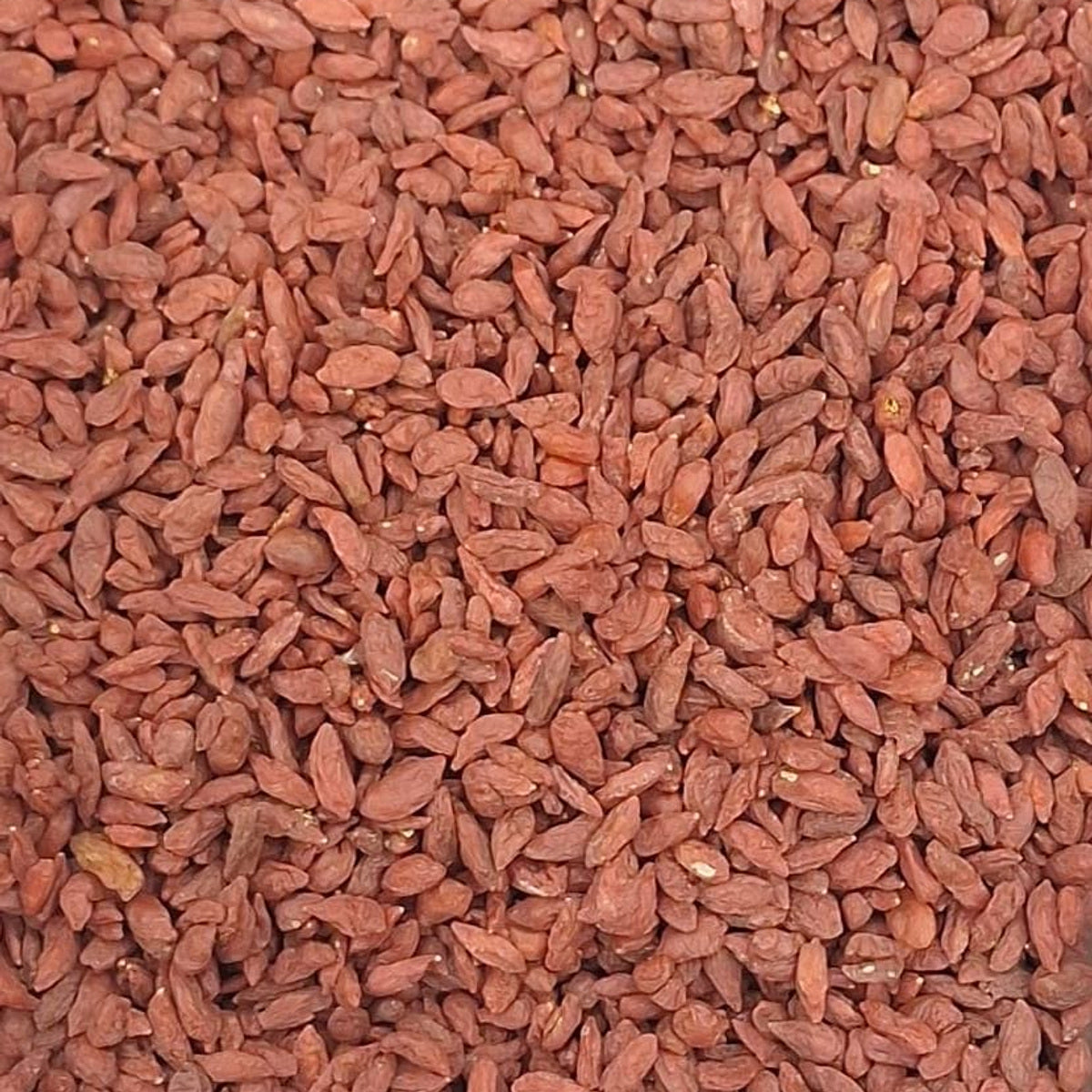 توت غوجي صيني مجفف – 100 غ | Chinese Dried Goji Berries – 100 g — Themar Al Alia