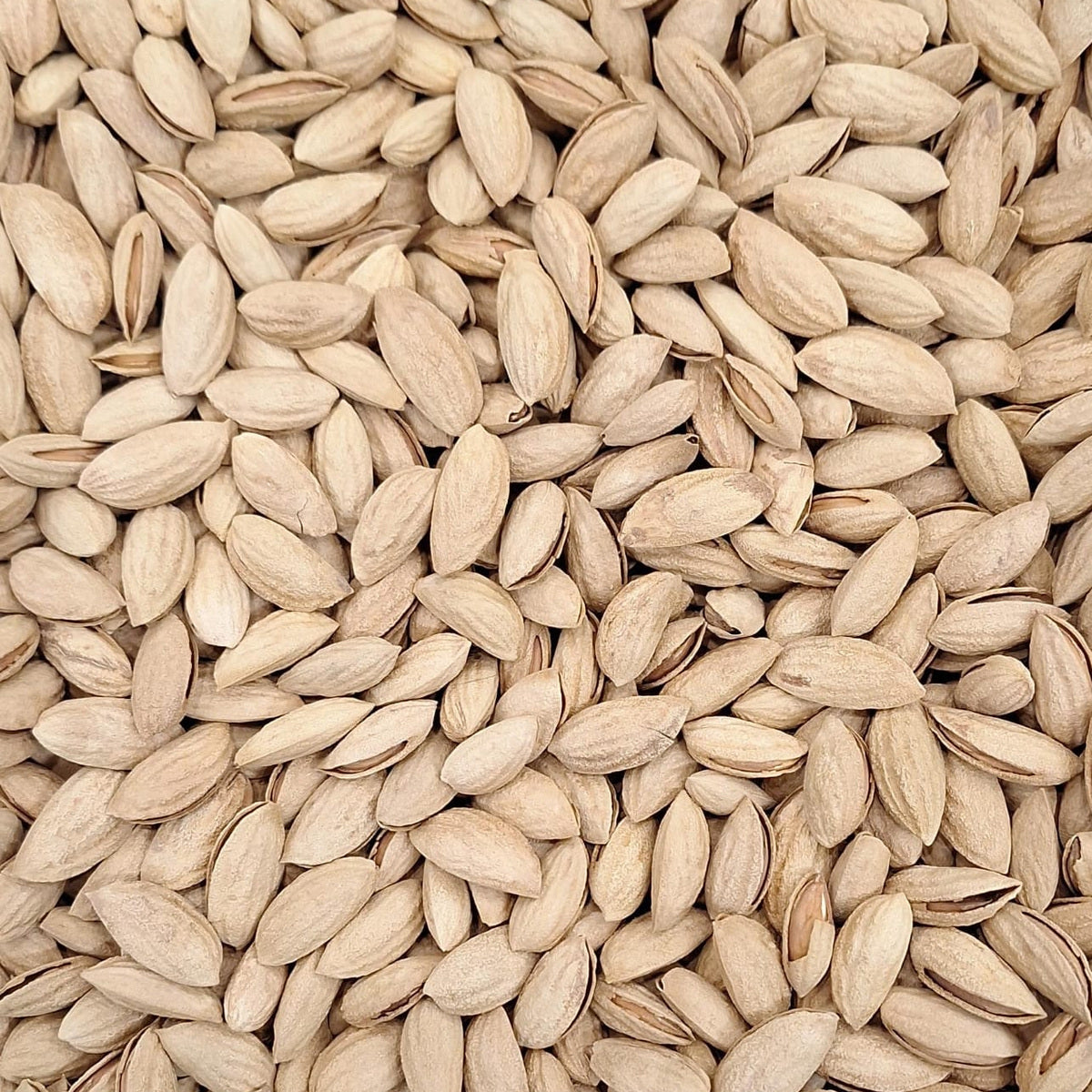 لوز أوزبكي بالقشر – 500 غ | Uzbek Almonds in Shell – 500 g — Themar Al Alia