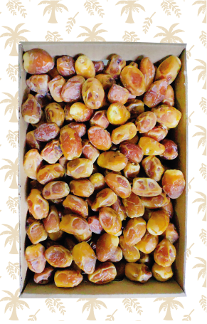 Minifi Ruttab – 3 kg