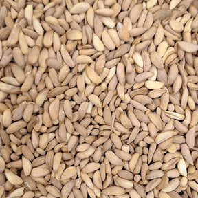 لوز مامرا أفغاني – 100 غ | Afghan Mamra Almonds – 100 g — Themar Al Alia