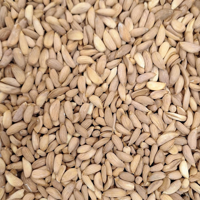 لوز مامرا أفغاني – 100 غ | Afghan Mamra Almonds – 100 g — Themar Al Alia