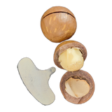 Original photo of Vanilla In-Shell Macadamias on a transparent background