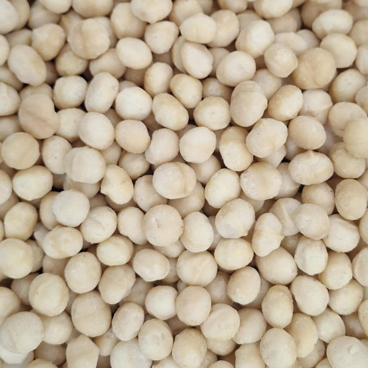 مكاديميا أسترالية نيئة مقشّرة – 100 غ | Raw Australian Macadamia Kernels – 100 g — Themar Al Alia