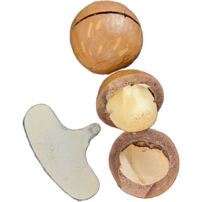 مكاديميا بالقشر بنكهة الفانيلا | Vanilla-flavoured in-shell macadamias — Themar Al Alia